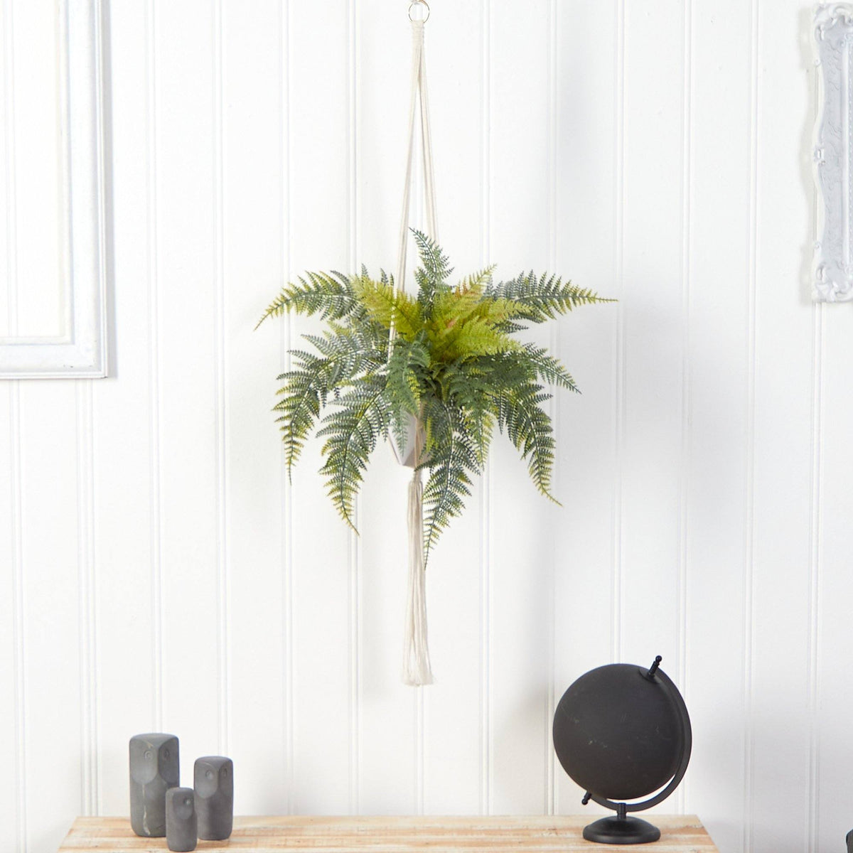 a plant from a rope