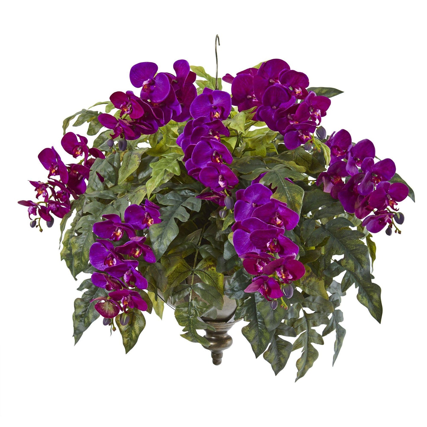 25” Phalaenopsis Orchid and Holly Fern Plant in Hanging Bowl