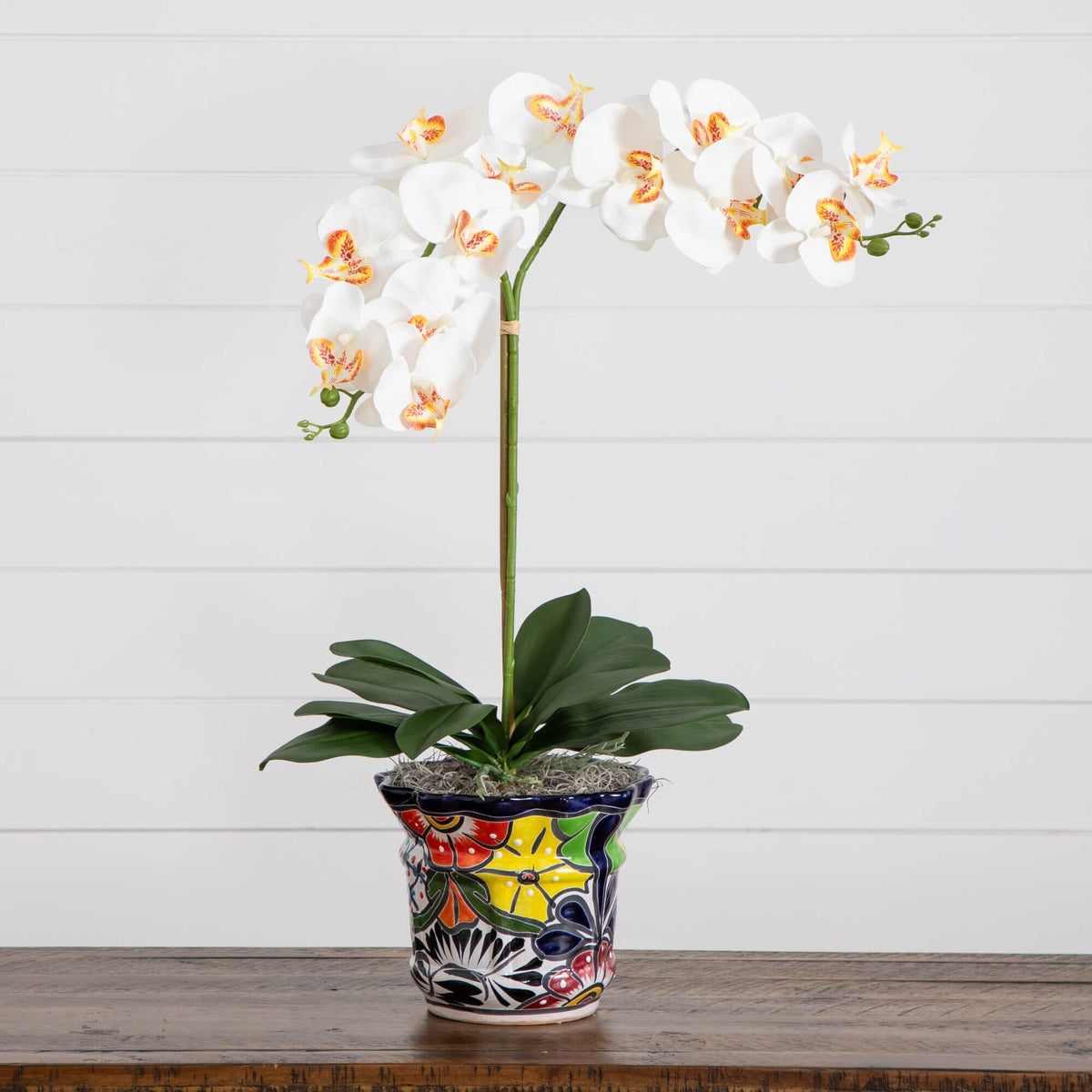 a white flower in a colorful pot
