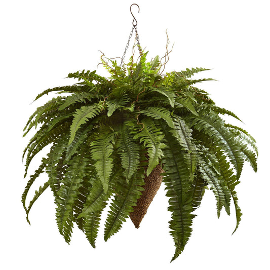a green plant with a hook