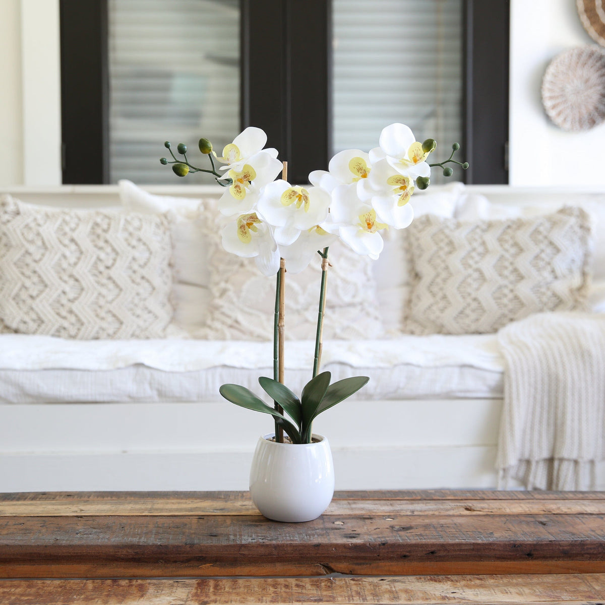 a white orchid in a white vase on a wooden table