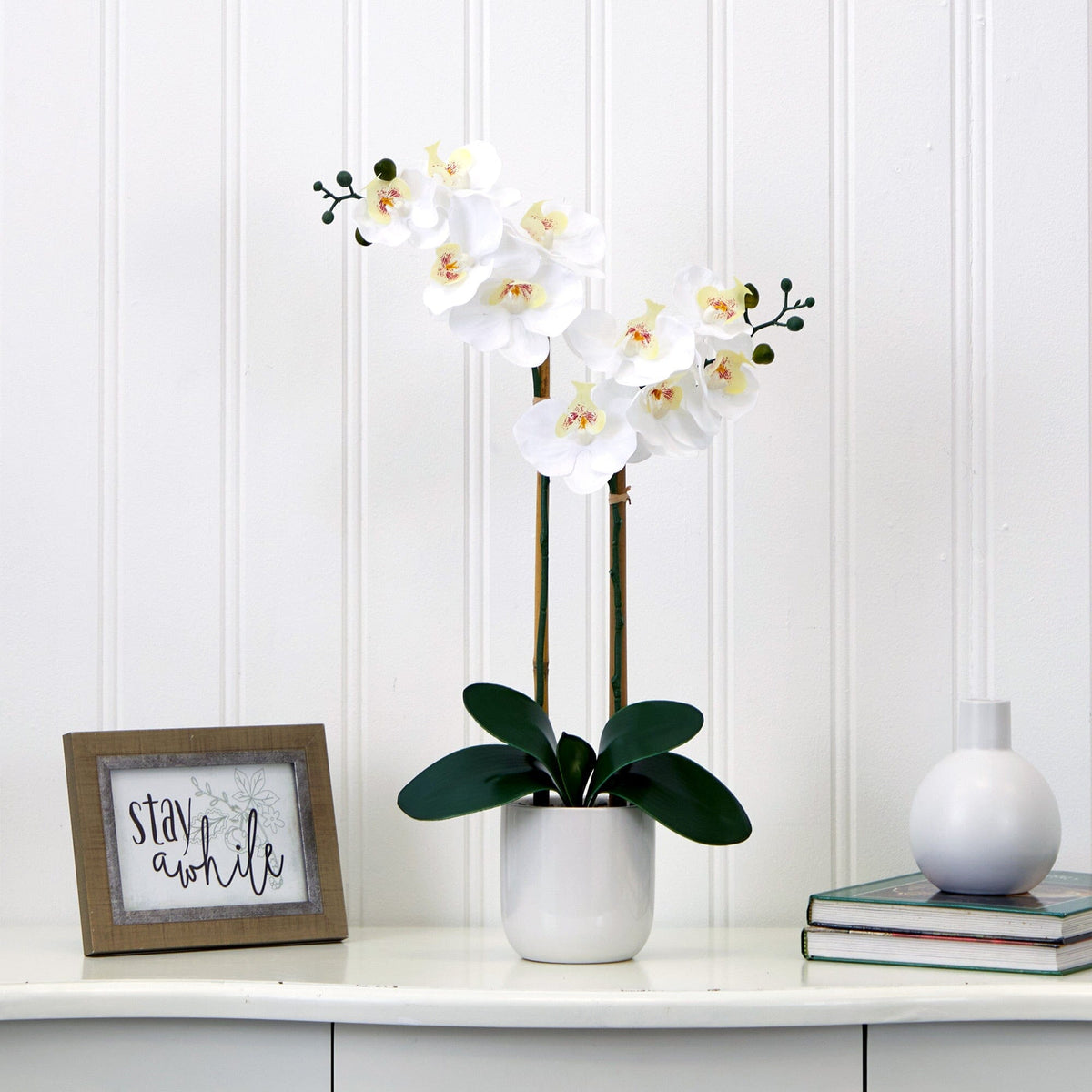 a white orchid in a pot on a shelf