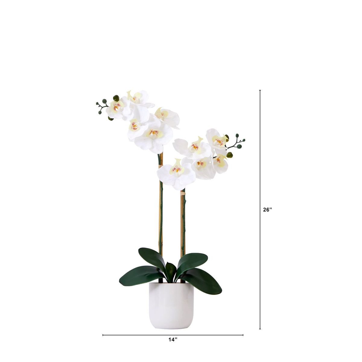 a white flower in a pot