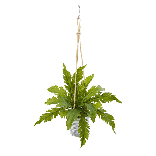 26” Watermelon Peperomia and Fern Artificial Plant in Hanging Bucket (Set of 2)