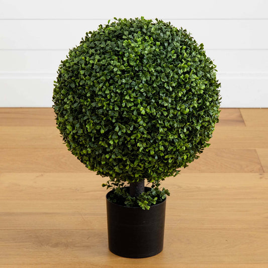 a plant in a pot