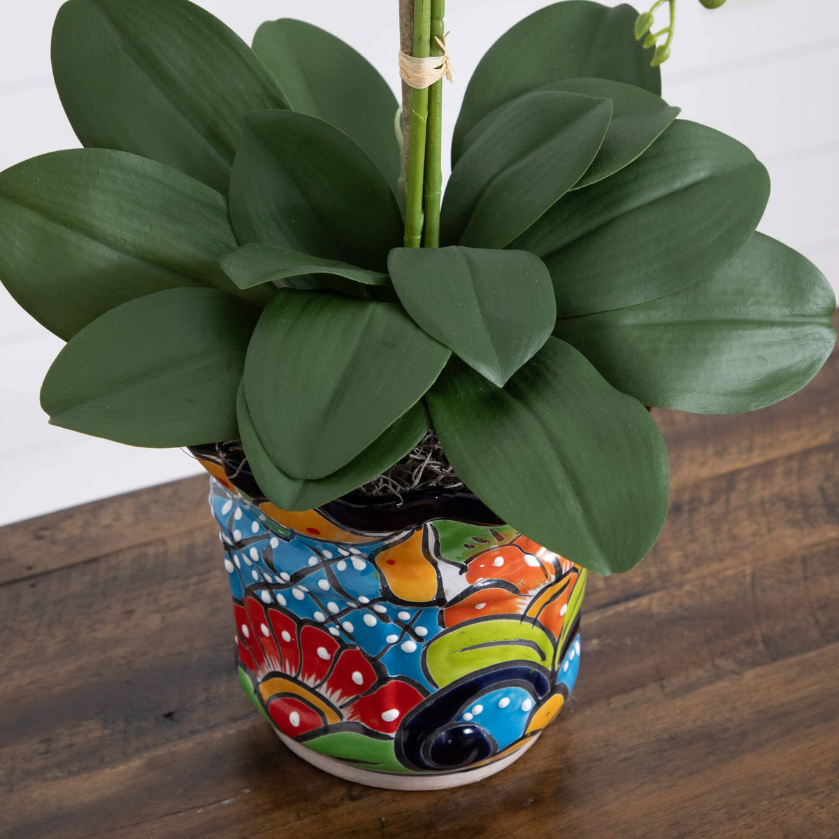 a plant in a pot