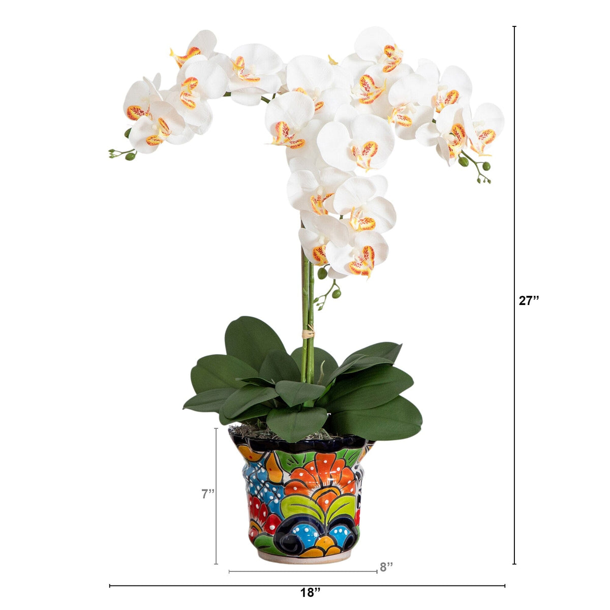 a white orchid in a colorful pot