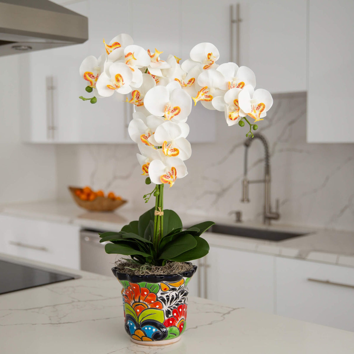 a white flower in a pot