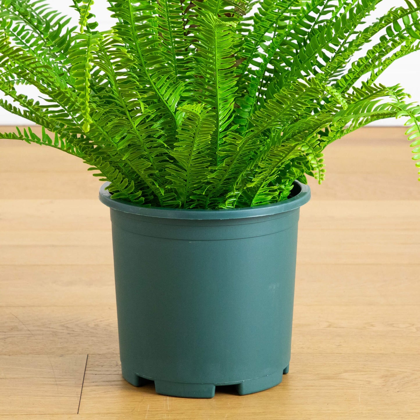 27-in UV Resistant Artificial Real Touch Boston Fern Plant (Indoor/Outdoor)