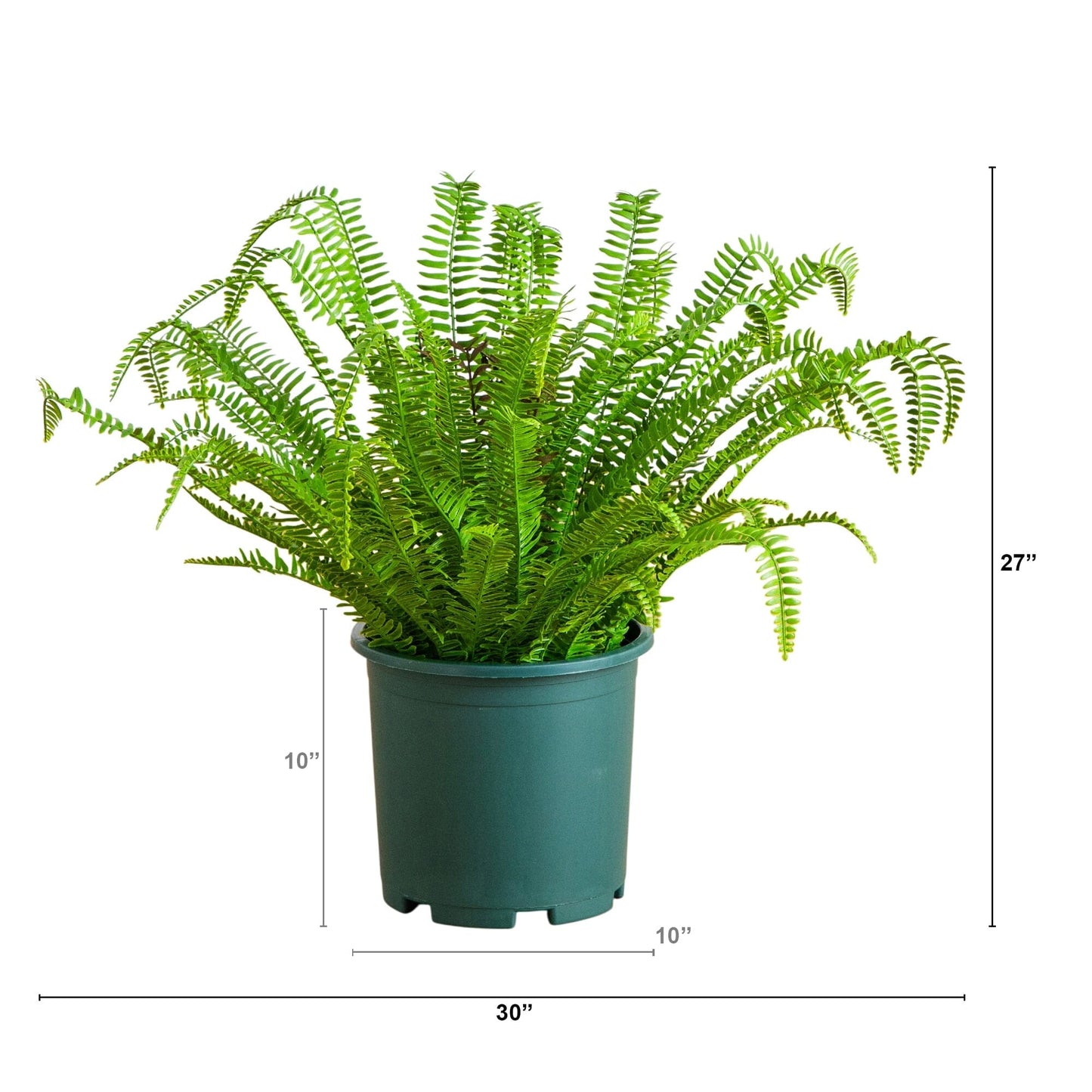 27-in UV Resistant Artificial Real Touch Boston Fern Plant (Indoor/Outdoor)