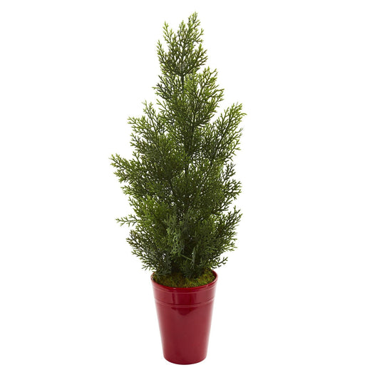 a potted plant with a small tree