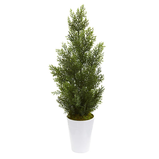 a potted plant in a white pot