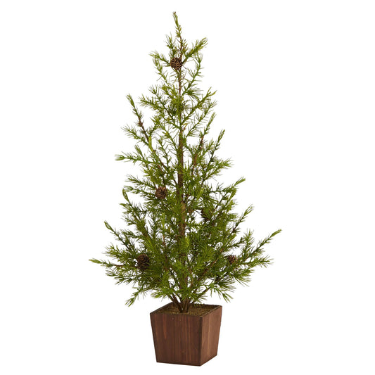a tree in a pot