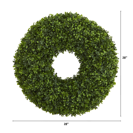 a green plant with a hole in the middle