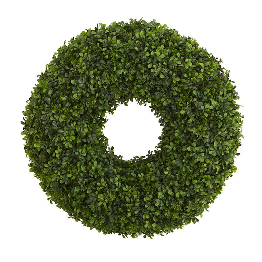 a green plant with a hole in the middle