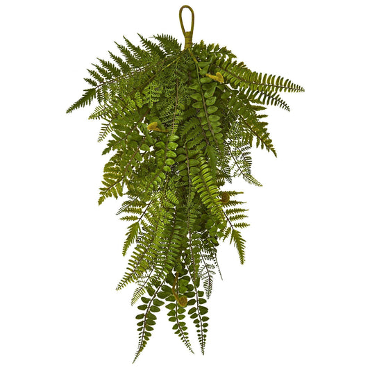 a green plant from a rope