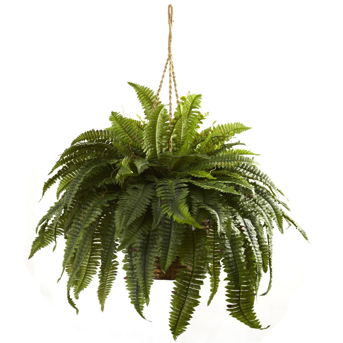 a green plant from a rope