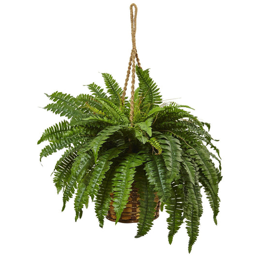 a plant in a basket