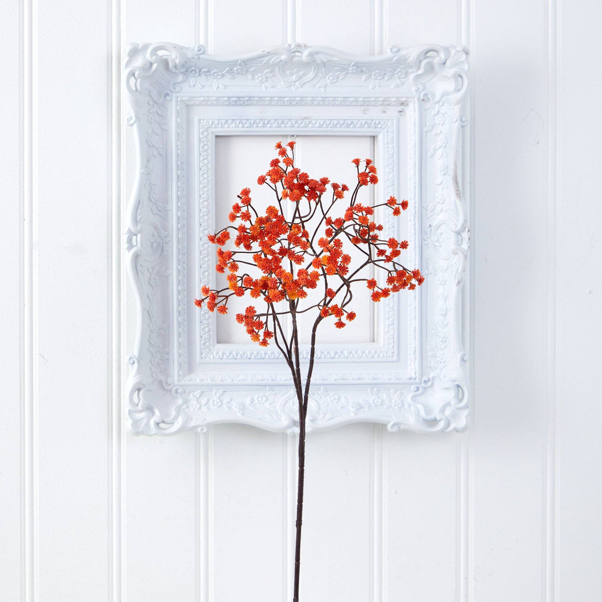 a small red flower in a white frame