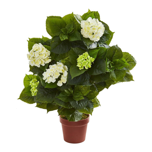 a potted plant with white flowers