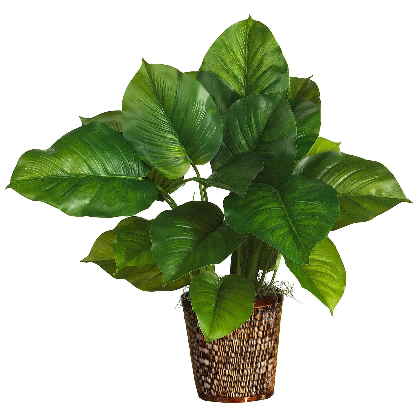29" Large Leaf Philodendron Silk Plant (Real Touch) in Basket