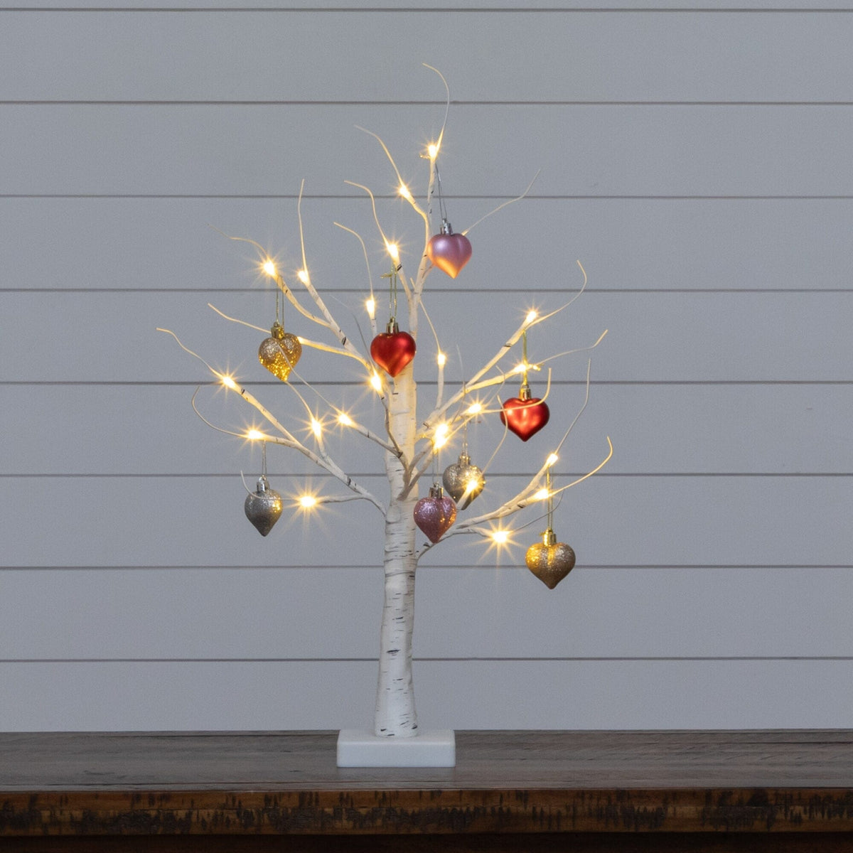 a tree with lights on it