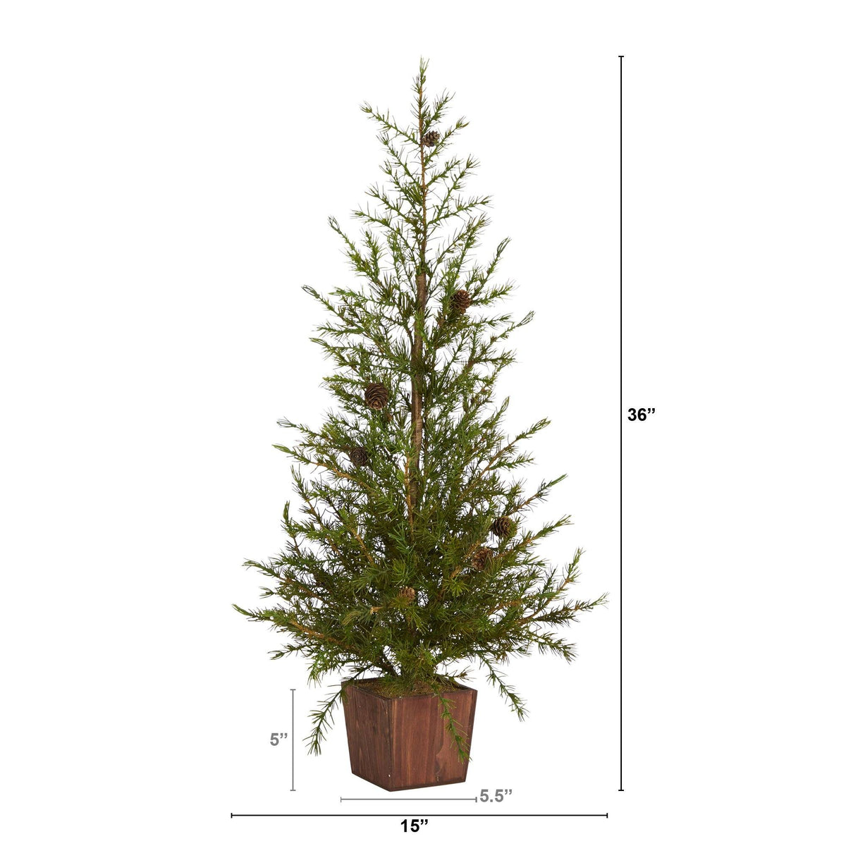 a tall tree with a small pine cone