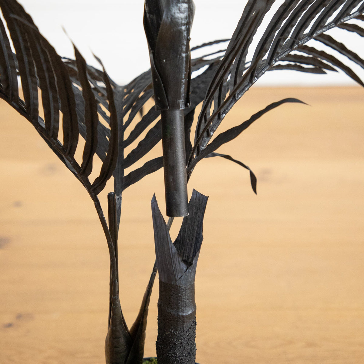 a black plant with leaves