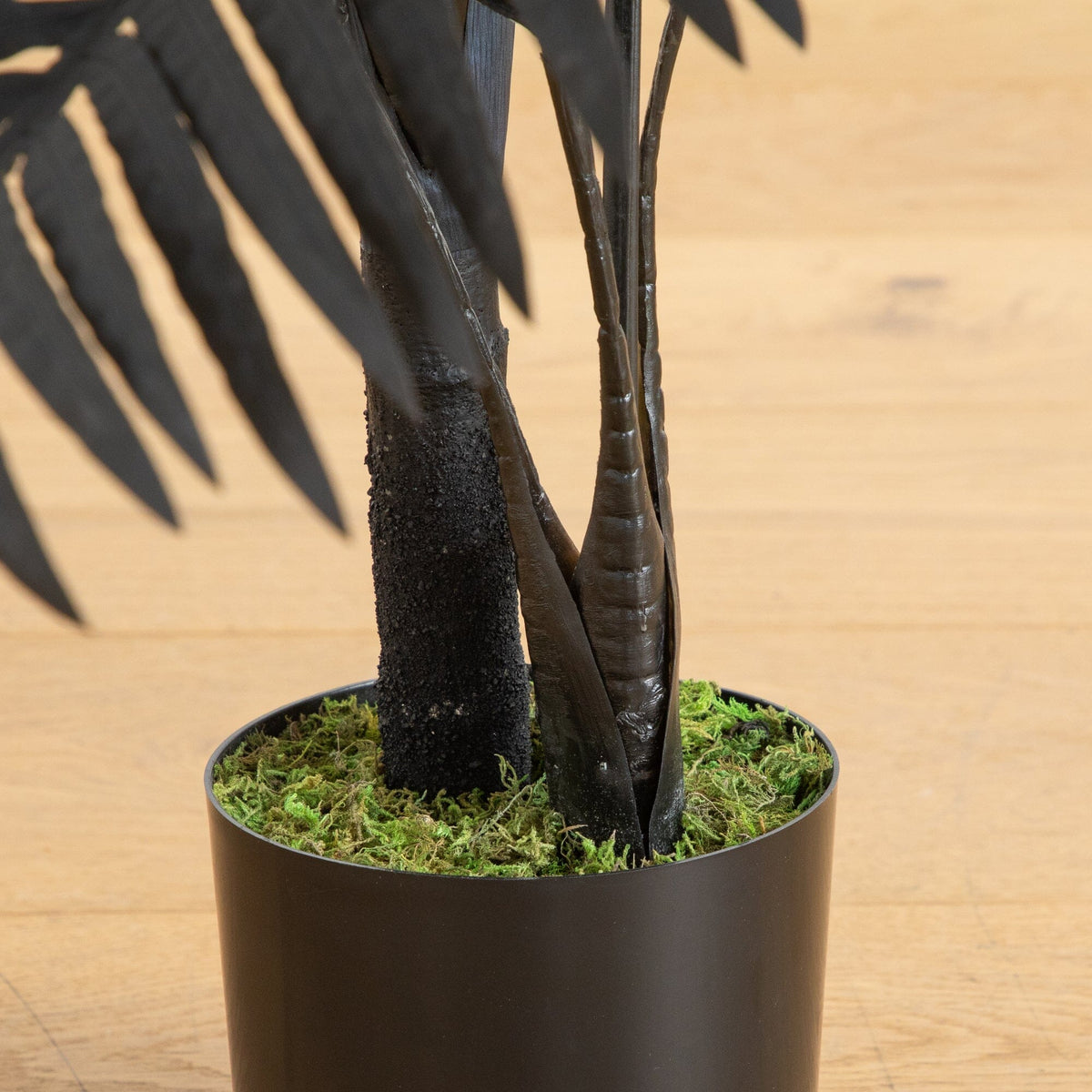 a plant in a pot