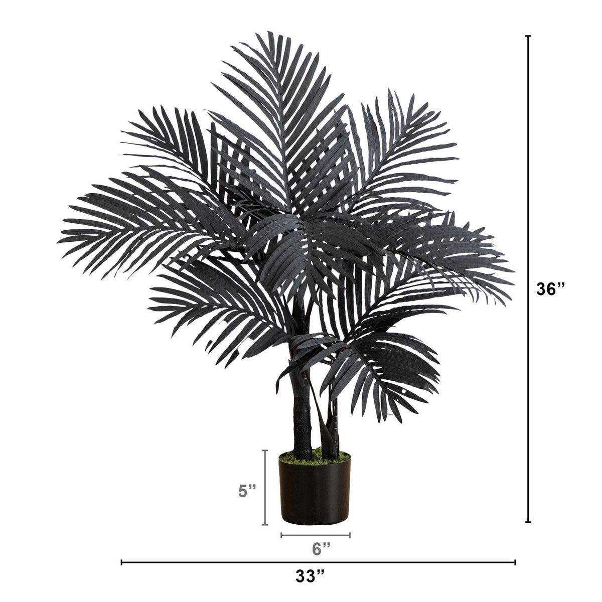 a tall black plant in a pot