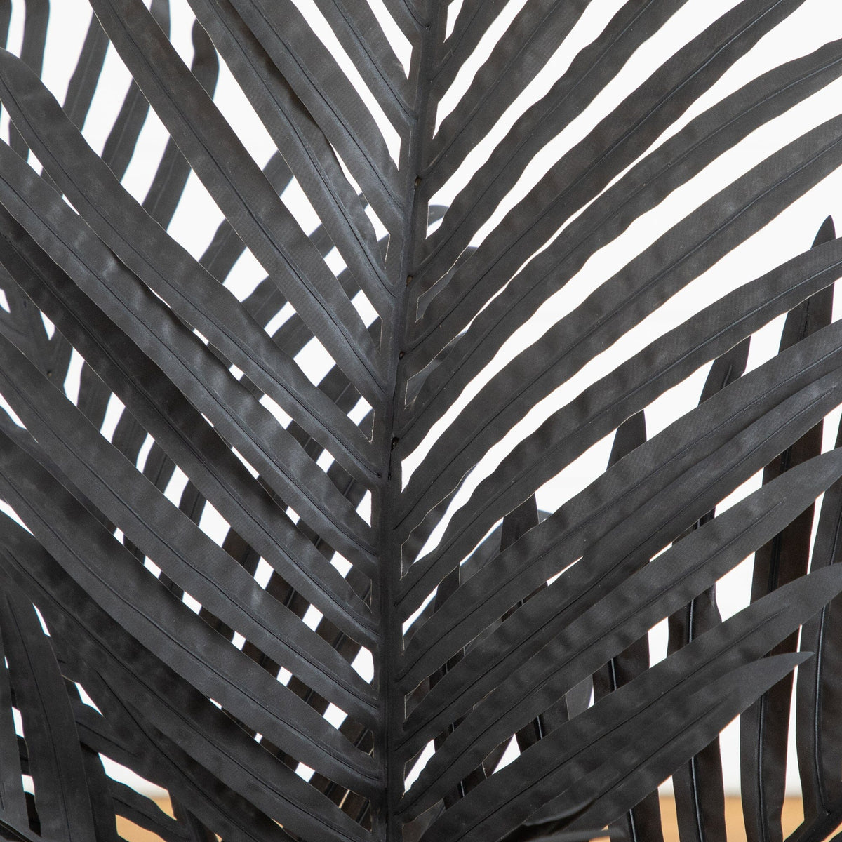 a close up of a black leaf