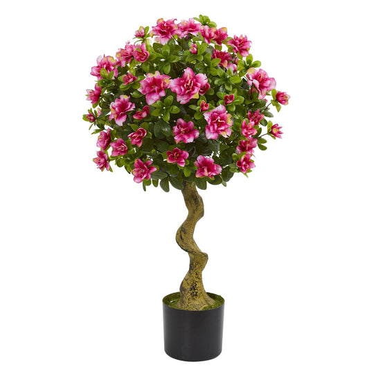 a potted plant with pink flowers