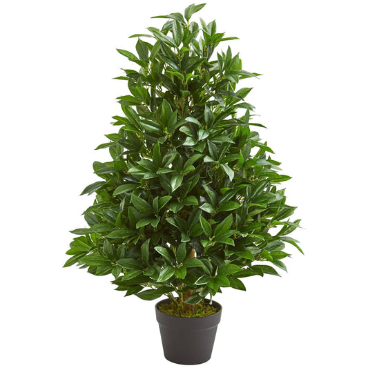 a potted plant with leaves