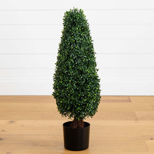 a small tree in a pot