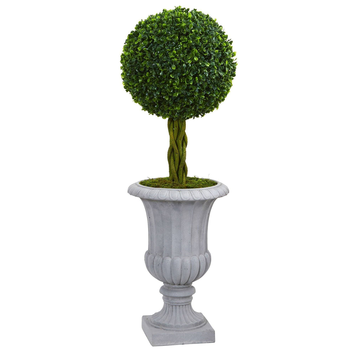 a plant in a pot