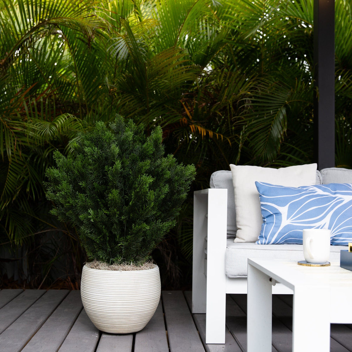 a white couch with blue pillows and a plant in a pot on a deck