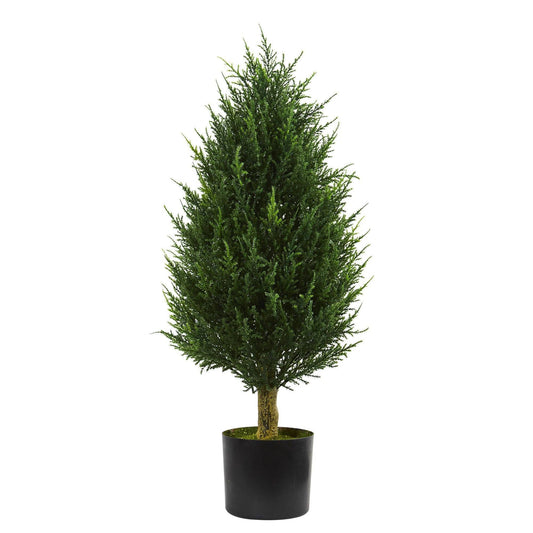a tree in a pot