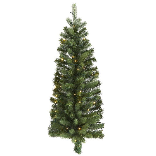 a christmas tree with lights