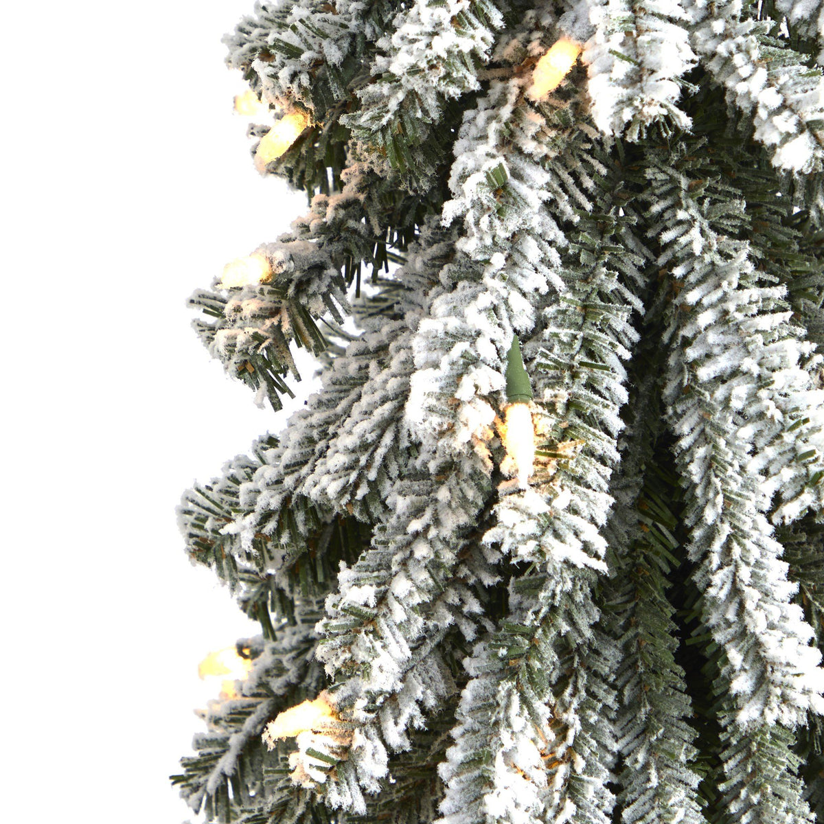 a close up of a tree