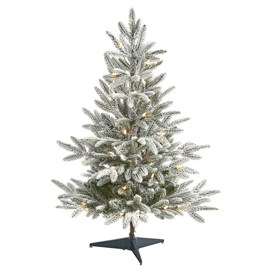 a christmas tree with lights