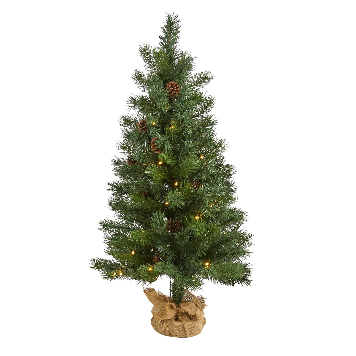 a christmas tree with lights
