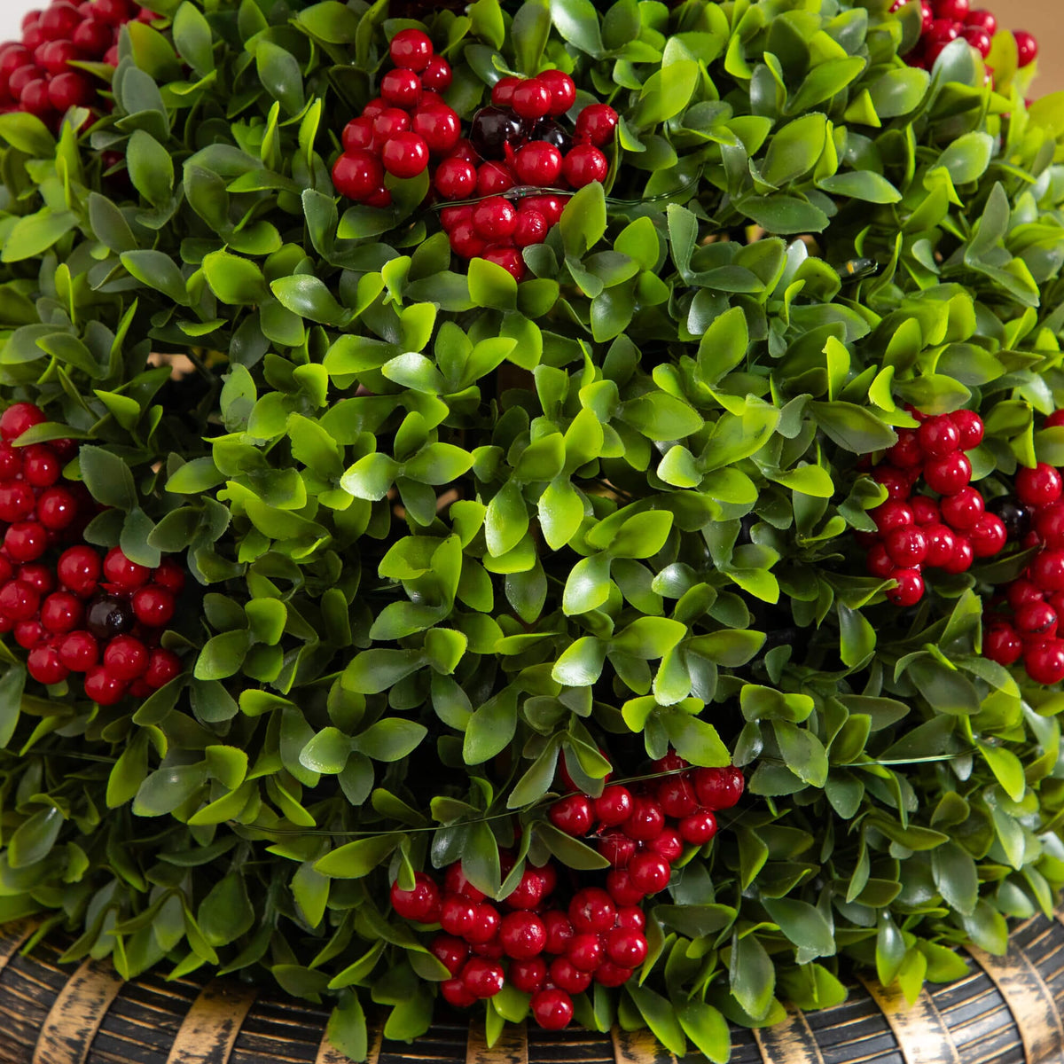 a plant with red berries