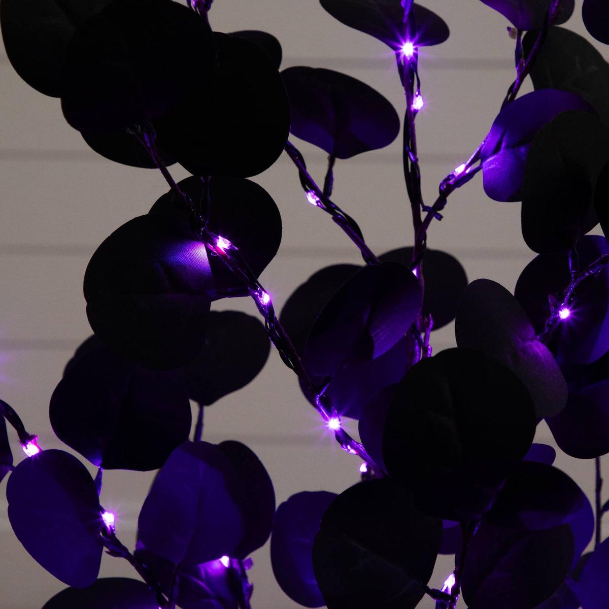 purple lights on a plant