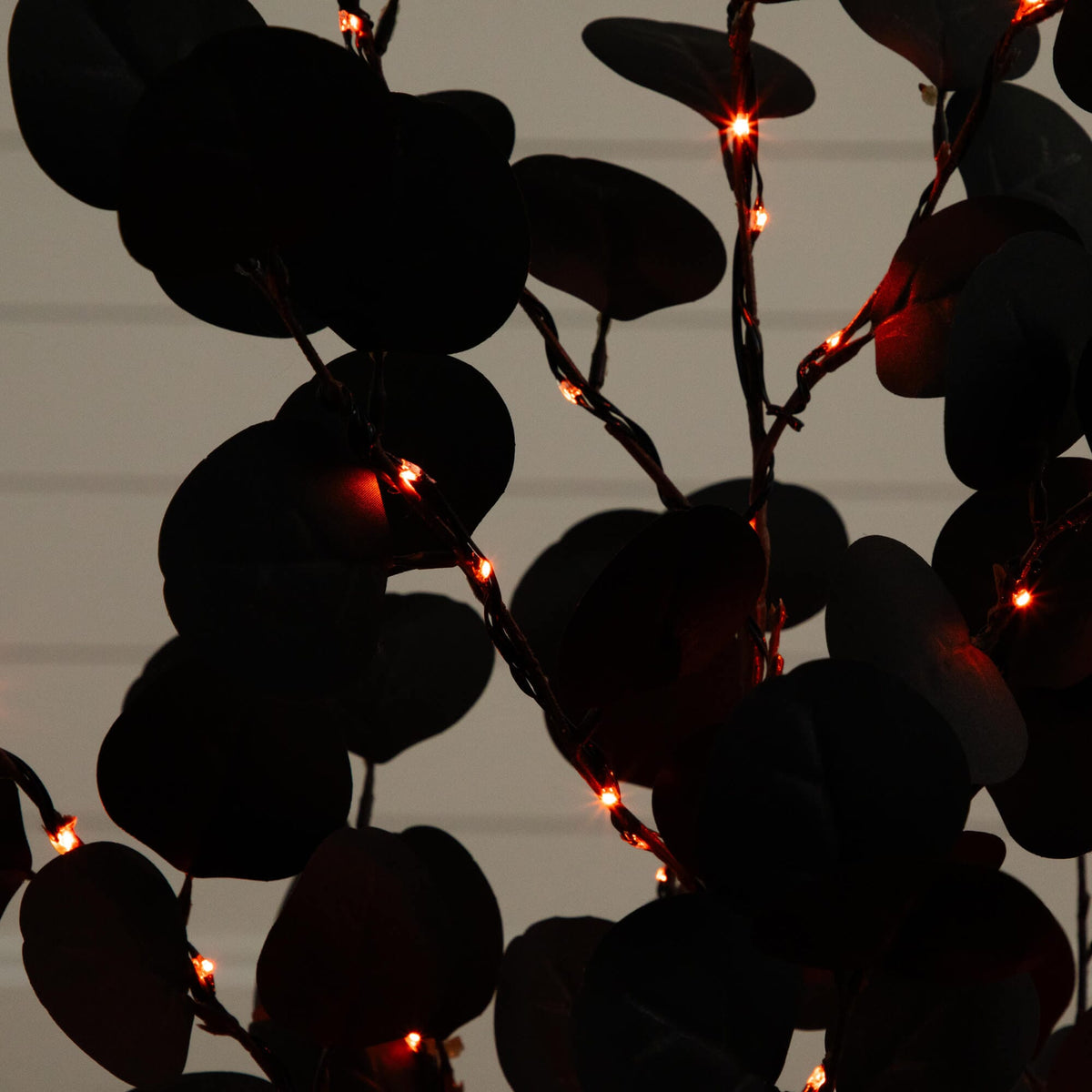 a tree with lights on it