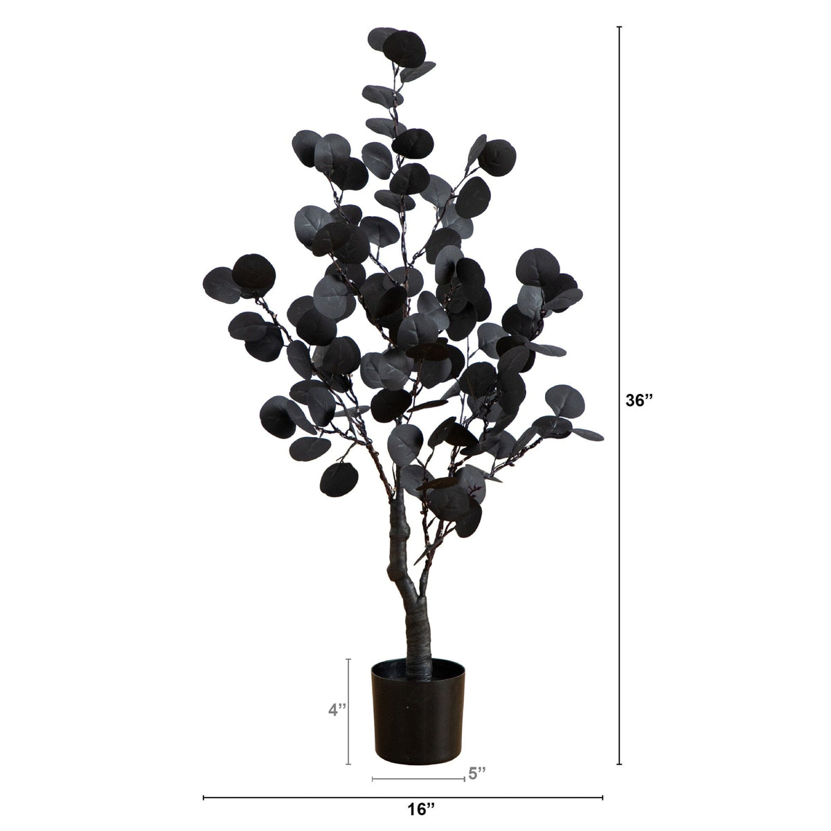 a tall black plant in a pot