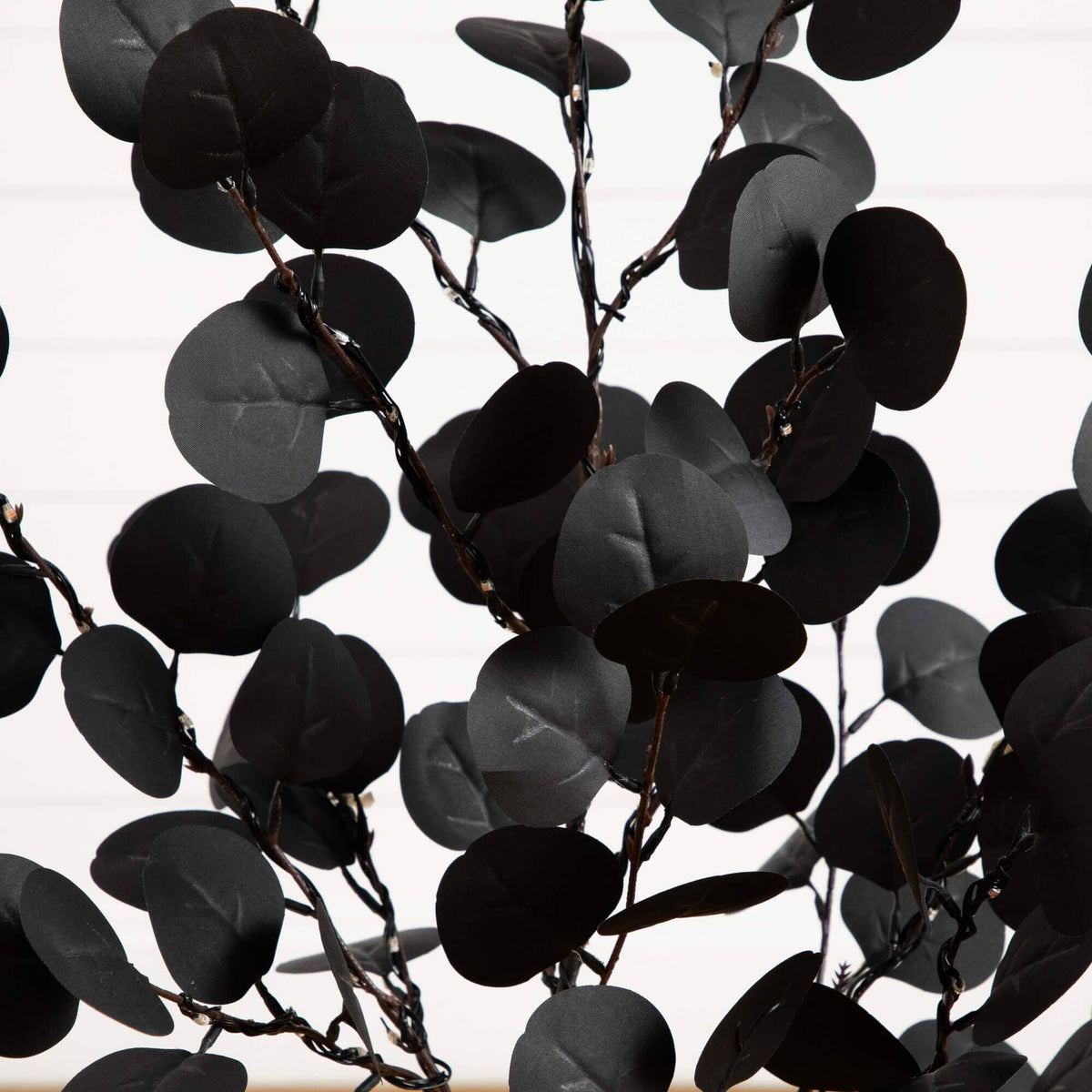 a black leaves on a branch