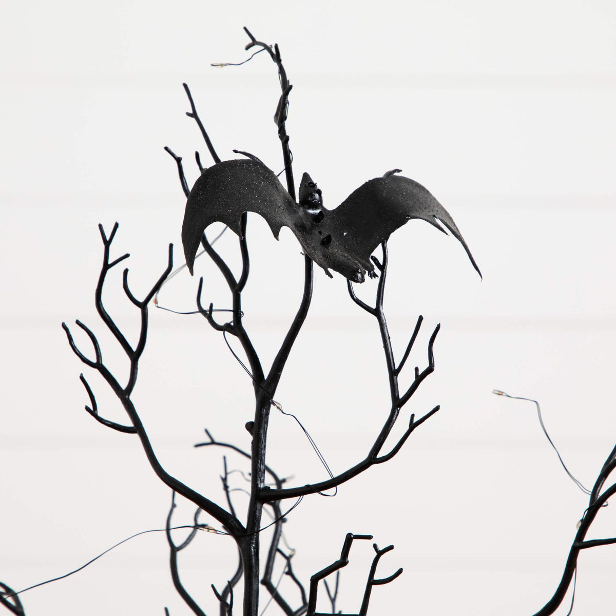 a black bat on a tree