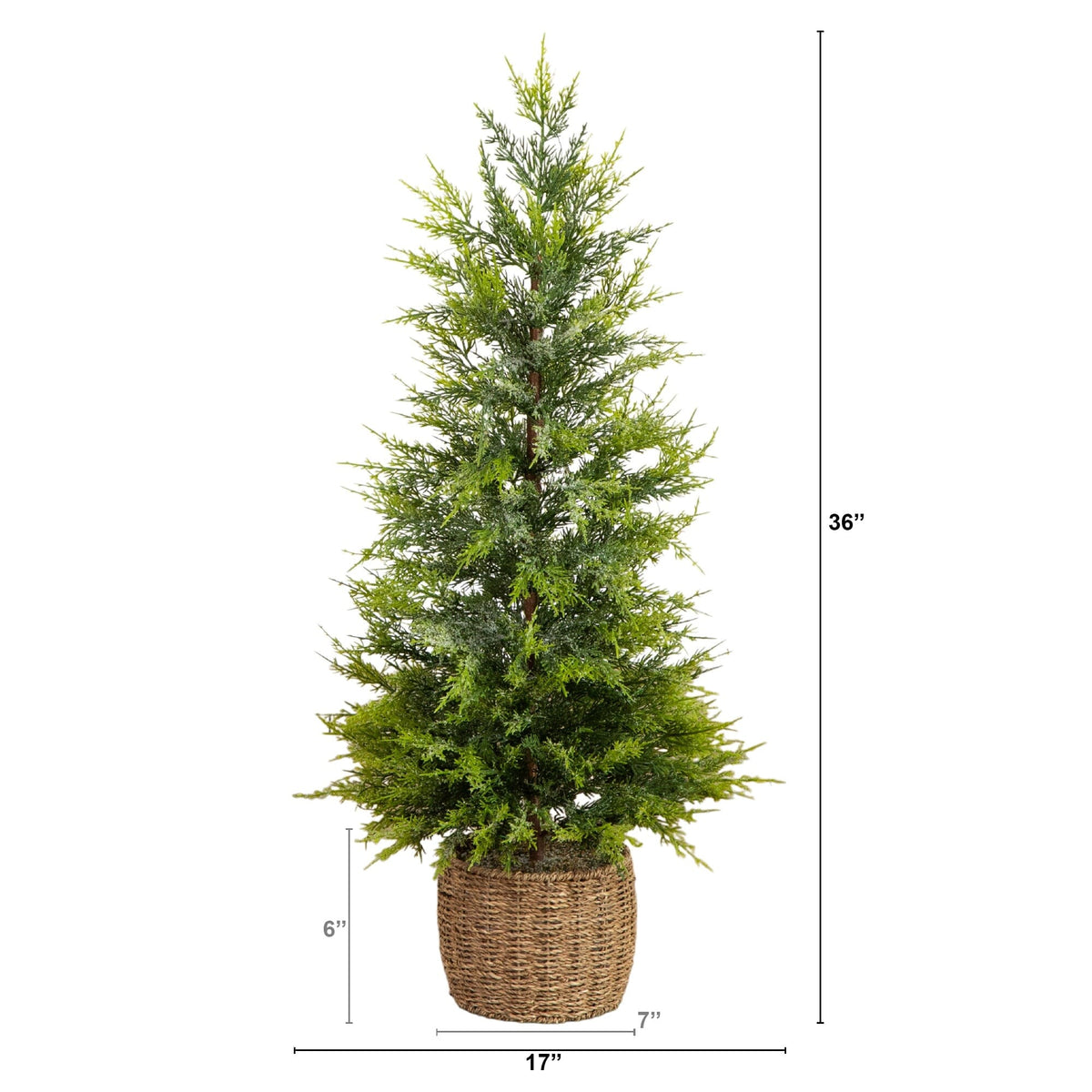 a tall tree in a basket