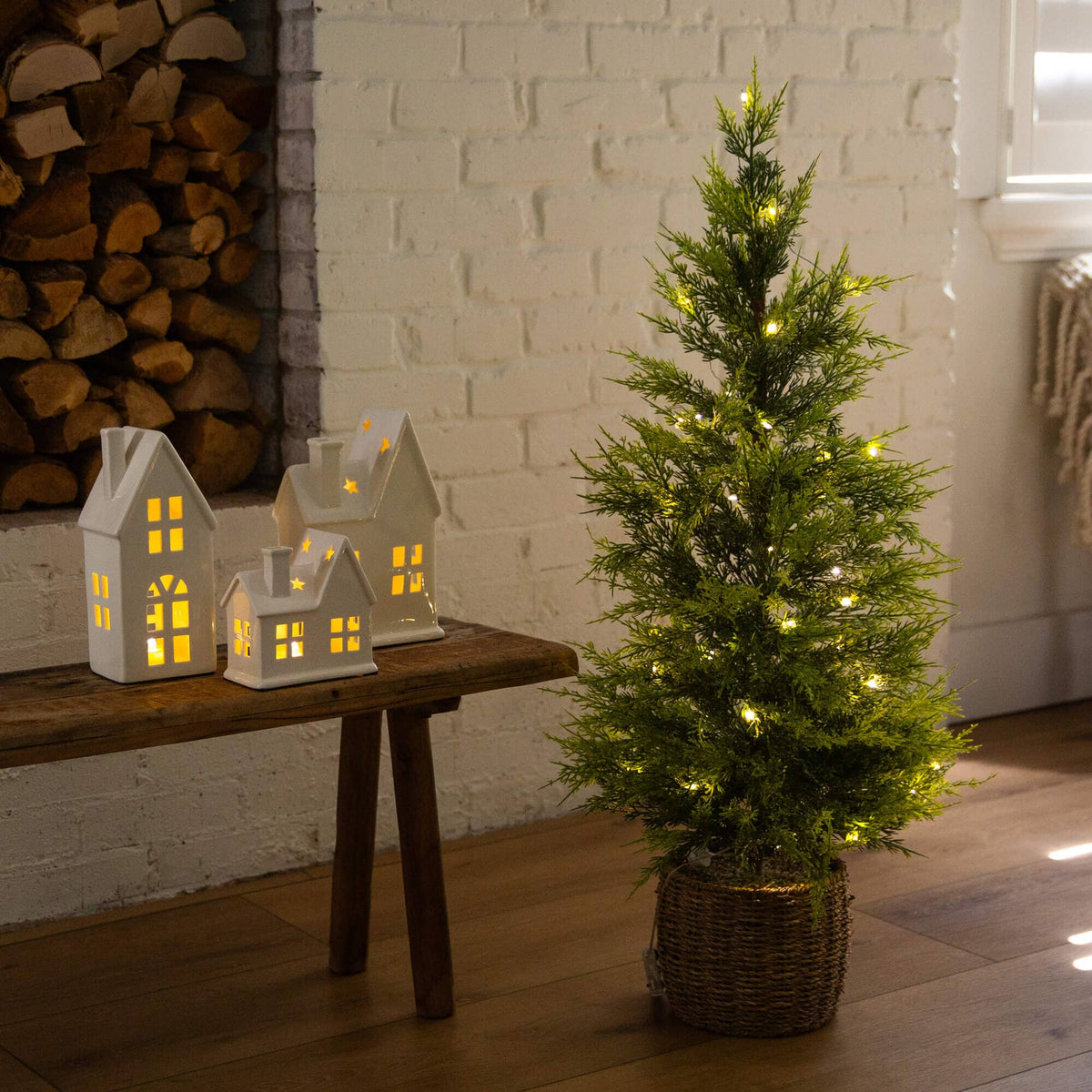 a small tree with lights on it next to a small tree