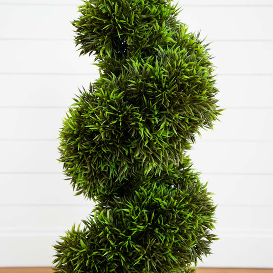 a green plant in a pot
